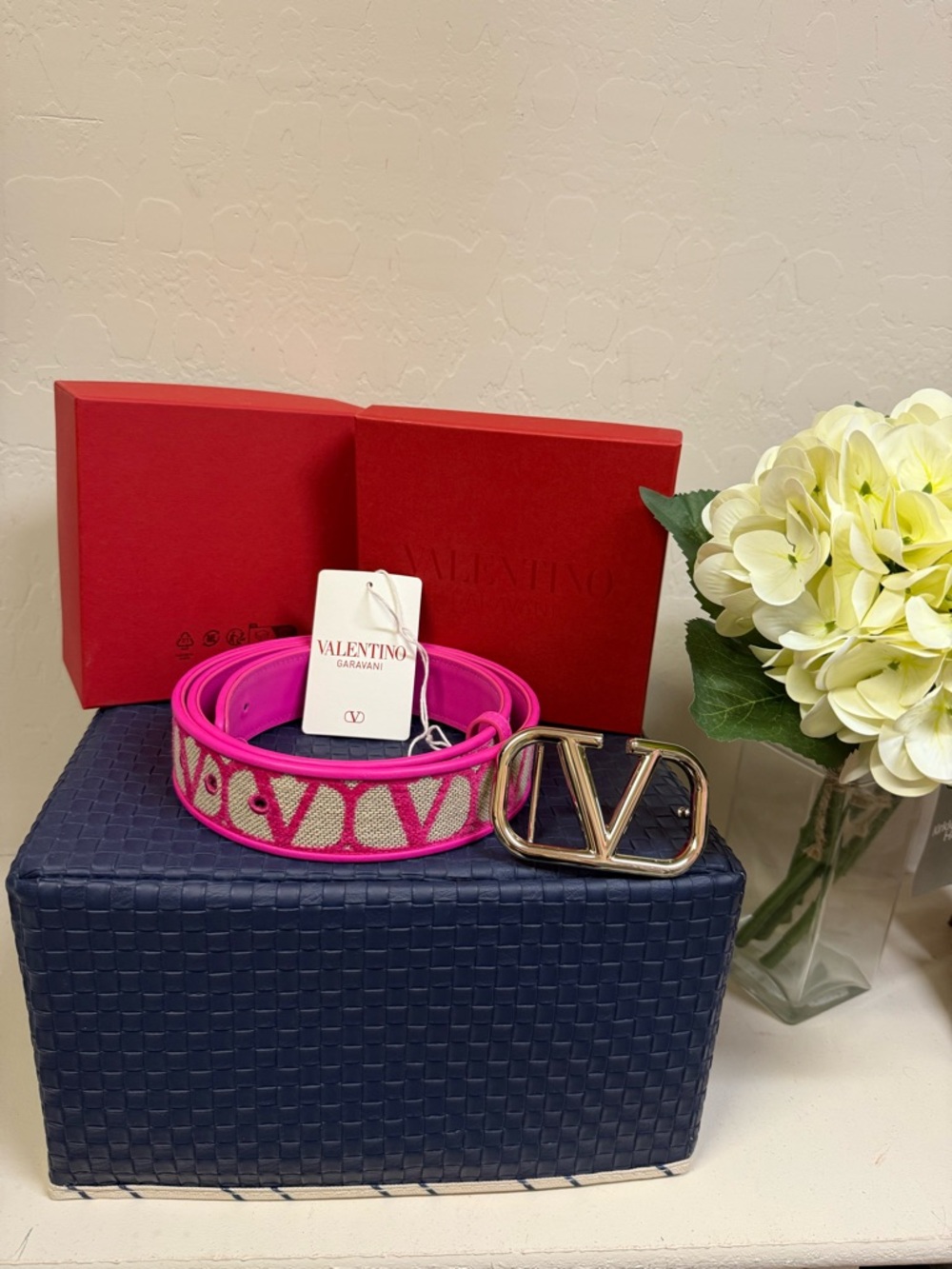 Valentino Garavani Pink Beige VLogo Canvas Belt with Gold Buckle